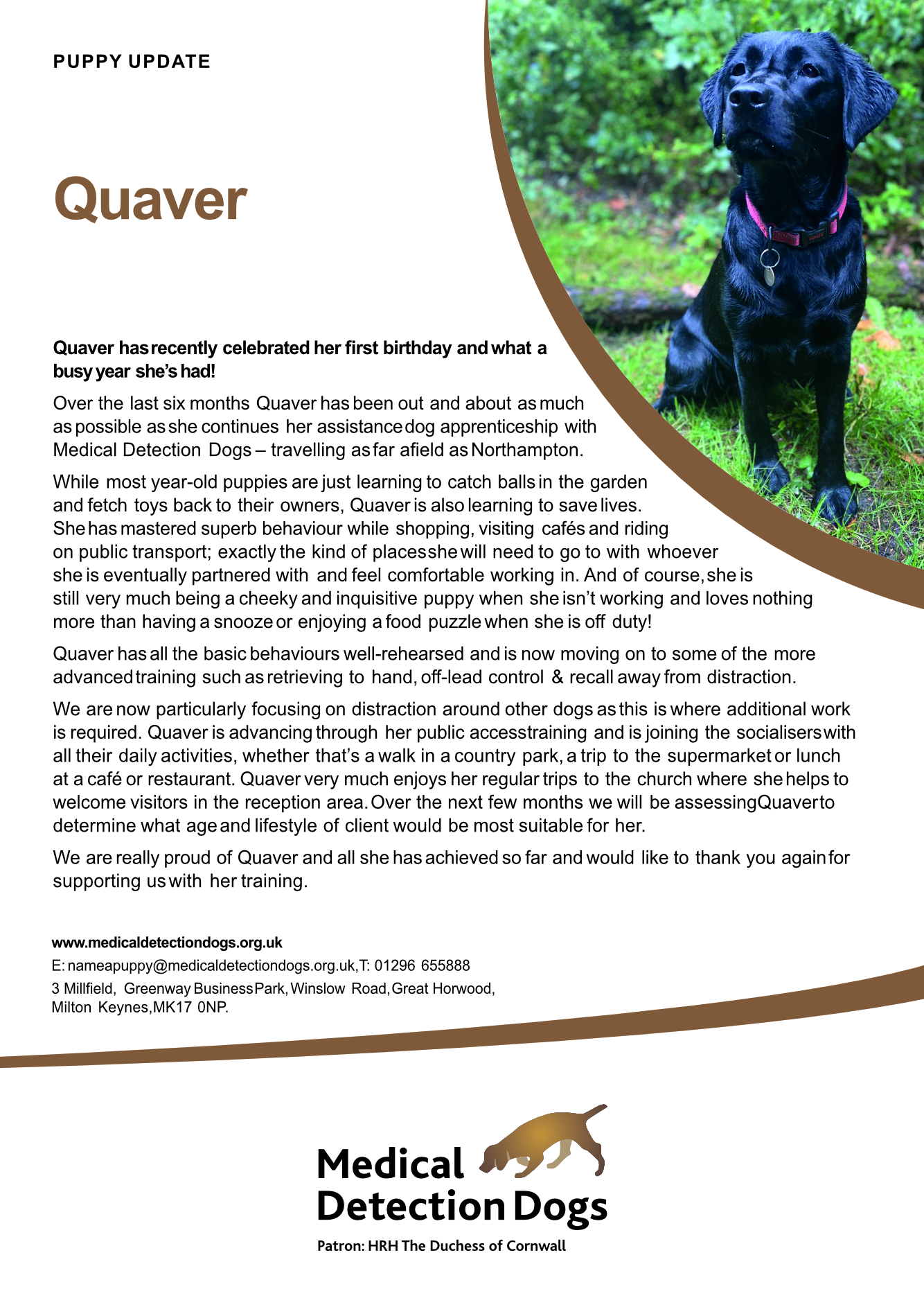 Medical Detection Dog Update August 2020